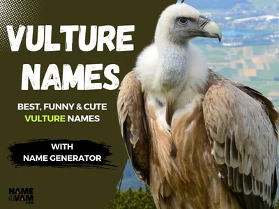 Vulture Names