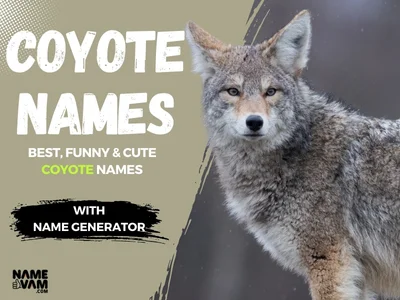 coyote Names