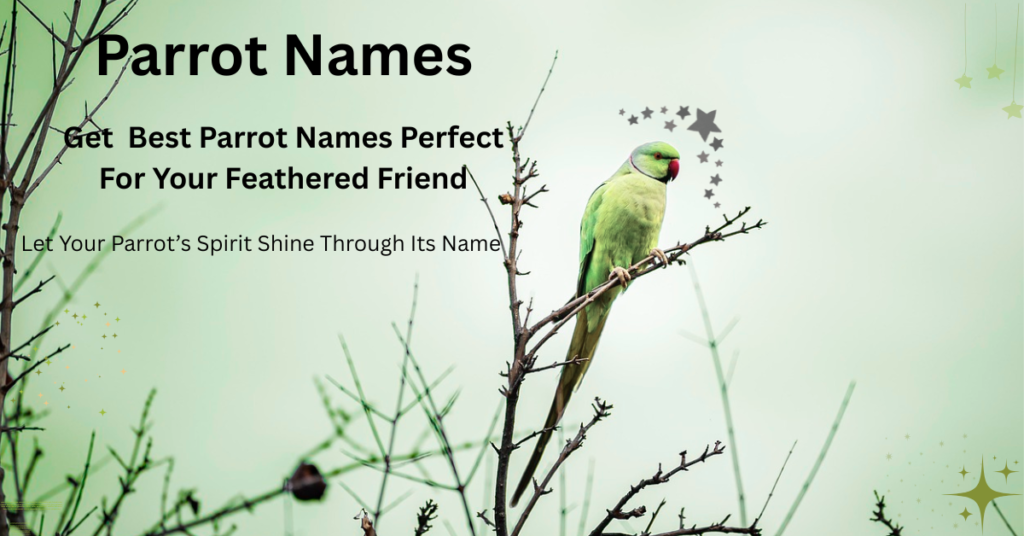 Parrot Names